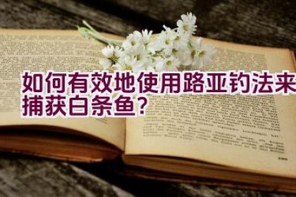 如何有效地使用路亚钓法来捕获白条鱼？