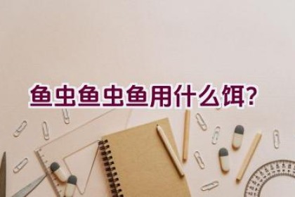 鱼虫鱼虫鱼用什么饵？