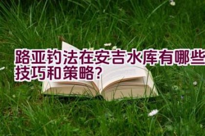路亚钓法在安吉水库有哪些技巧和策略？