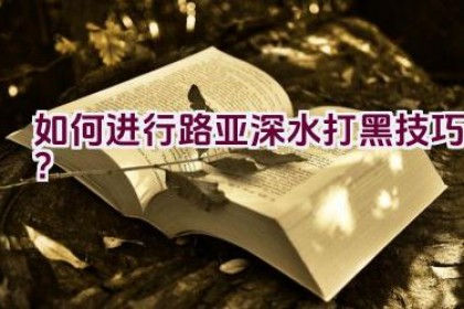 如何进行路亚深水打黑技巧？