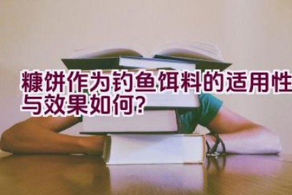 糠饼作为钓鱼饵料的适用性与效果如何？