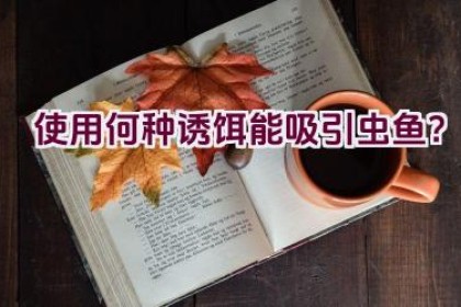 使用何种诱饵能吸引虫鱼？