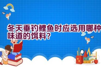 冬天垂钓鲤鱼时应选用哪种味道的饵料？