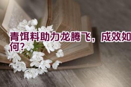 “青饵料助力龙腾飞，成效如何？”