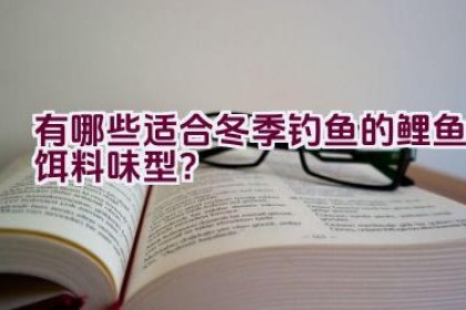 有哪些适合冬季钓鱼的鲤鱼饵料味型？