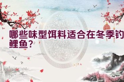 哪些味型饵料适合在冬季钓鲤鱼？