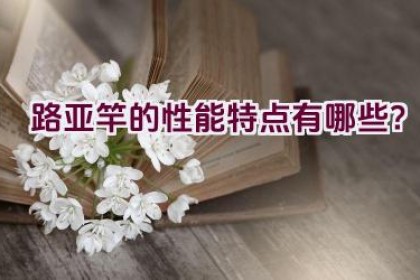 路亚竿的性能特点有哪些？