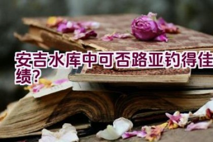 安吉水库中可否路亚钓得佳绩？