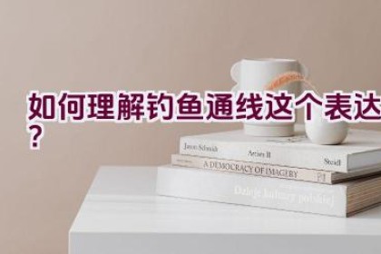 “如何理解’钓鱼通线’这个表达？”