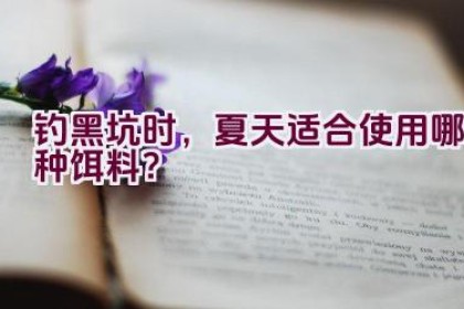 钓黑坑时，夏天适合使用哪种饵料？
