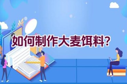 如何制作大麦饵料？