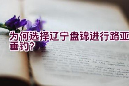 为何选择辽宁盘锦进行路亚垂钓？