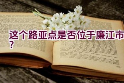 这个路亚点是否位于廉江市？