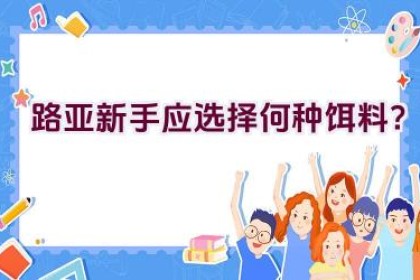 路亚新手应选择何种饵料？