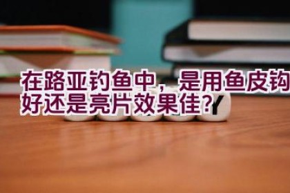 在路亚钓鱼中，是用鱼皮钩好还是亮片效果佳？