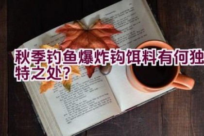 秋季钓鱼爆炸钩饵料有何独特之处？