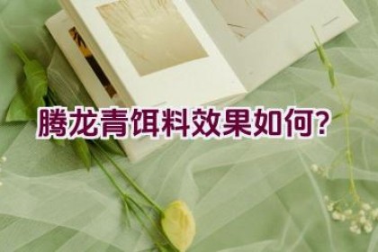 腾龙青饵料效果如何？