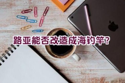 路亚能否改造成海钓竿？