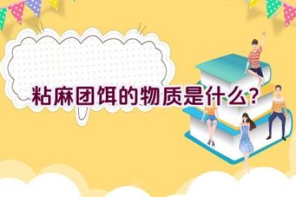 粘麻团饵的物质是什么？