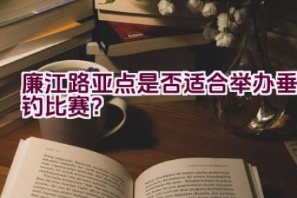 廉江路亚点是否适合举办垂钓比赛？