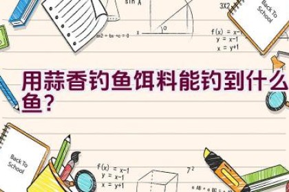 用蒜香钓鱼饵料能钓到什么鱼？