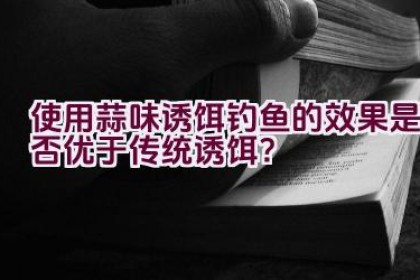 使用蒜味诱饵钓鱼的效果是否优于传统诱饵？