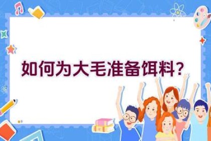 如何为大毛准备饵料？