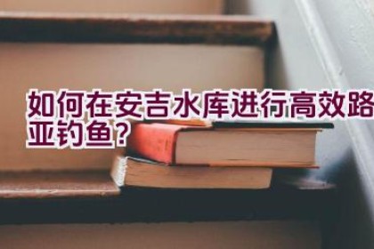 如何在安吉水库进行高效路亚钓鱼？