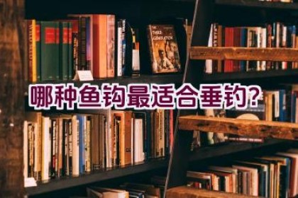 哪种鱼钩最适合垂钓？