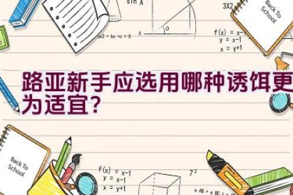 路亚新手应选用哪种诱饵更为适宜？