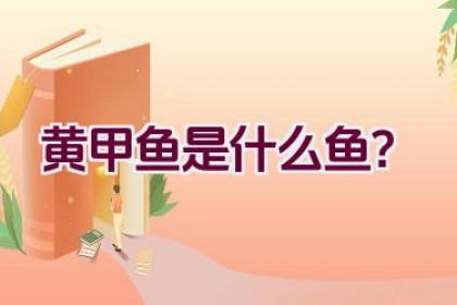 黄甲鱼是什么鱼？