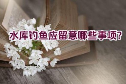 水库钓鱼应留意哪些事项？