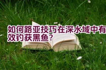 如何路亚技巧在深水域中有效钓获黑鱼？