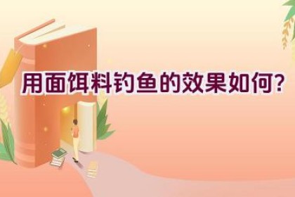 用面饵料钓鱼的效果如何？
