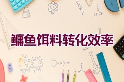 鳙鱼饵料转化效率
