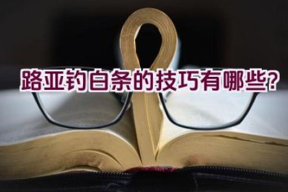 路亚钓白条的技巧有哪些？