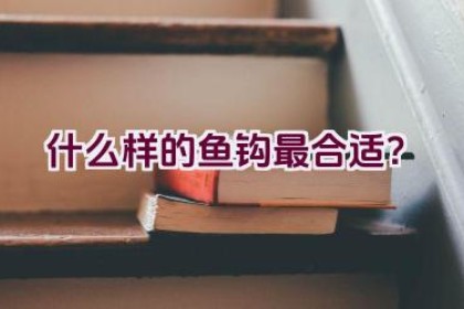什么样的鱼钩最合适？