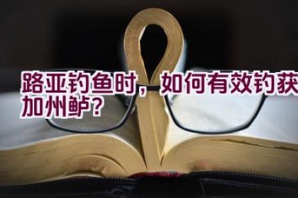 路亚钓鱼时，如何有效钓获加州鲈？