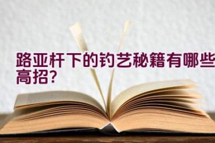 路亚杆下的钓艺秘籍有哪些高招？