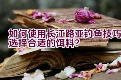 如何使用长江路亚钓鱼技巧选择合适的饵料？