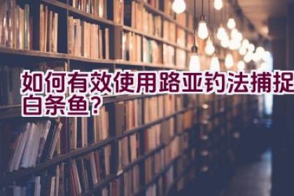 如何有效使用路亚钓法捕捉白条鱼？