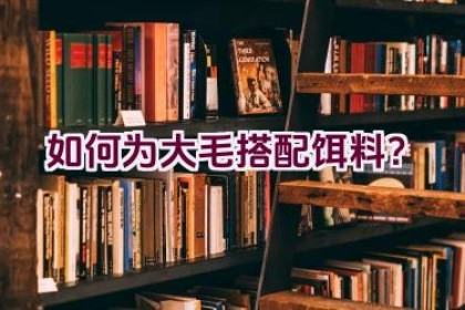 如何为大毛搭配饵料？