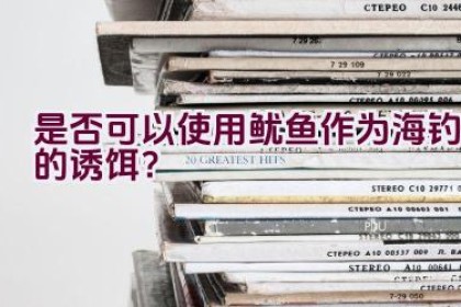是否可以使用鱿鱼作为海钓的诱饵？