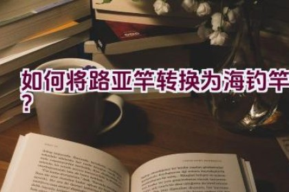 如何将路亚竿转换为海钓竿？