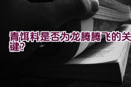 青饵料是否为龙腾腾飞的关键？