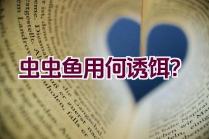 虫虫鱼用何诱饵？
