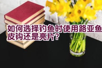 如何选择钓鱼时使用路亚鱼皮钩还是亮片？