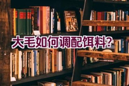 大毛如何调配饵料？