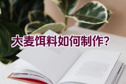 大麦饵料如何制作？
