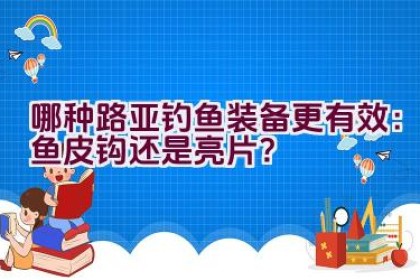 哪种路亚钓鱼装备更有效：鱼皮钩还是亮片？